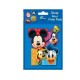 Set 4 carnetele Disney Mickey